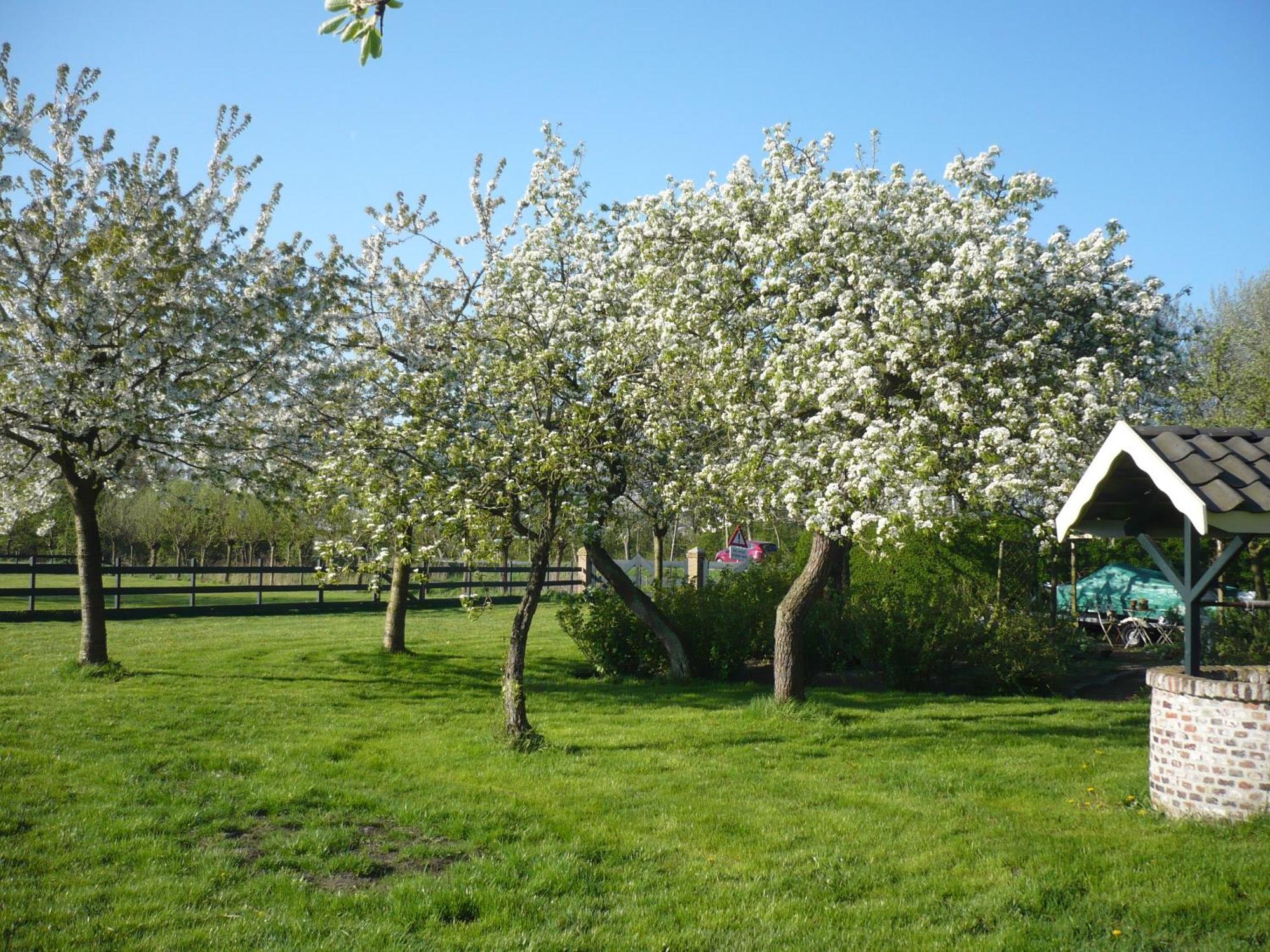 Shepherds House B&B Limmen Exterior foto