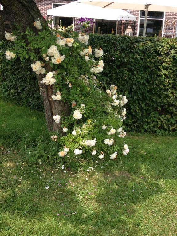 Shepherds House B&B Limmen Exterior foto